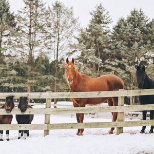 Meet your Posher, Christina